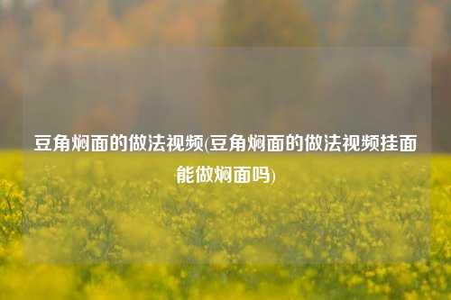 豆角焖面的做法视频(豆角焖面的做法视频挂面能做焖面吗)