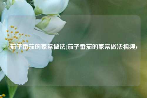 茄子番茄的家常做法(茄子番茄的家常做法视频)