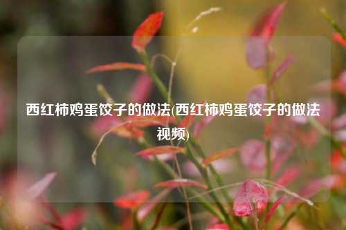 西红柿鸡蛋饺子的做法(西红柿鸡蛋饺子的做法视频)