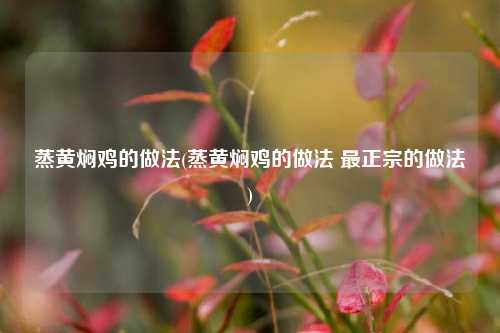 蒸黄焖鸡的做法(蒸黄焖鸡的做法 最正宗的做法)