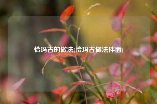 恰玛古的做法(恰玛古做法拌面)