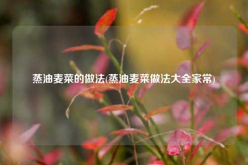 蒸油麦菜的做法(蒸油麦菜做法大全家常)