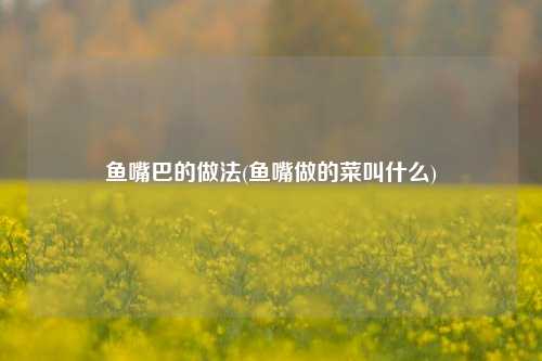 鱼嘴巴的做法(鱼嘴做的菜叫什么)