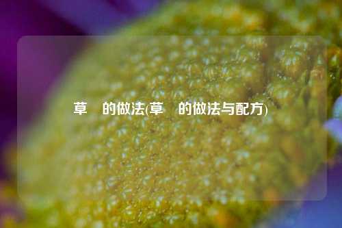 草粿的做法(草粿的做法与配方)
