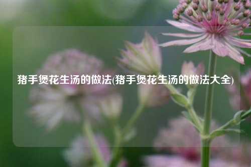 猪手煲花生汤的做法(猪手煲花生汤的做法大全)