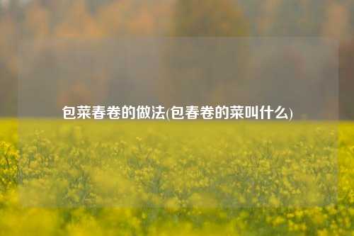 包菜春卷的做法(包春卷的菜叫什么)