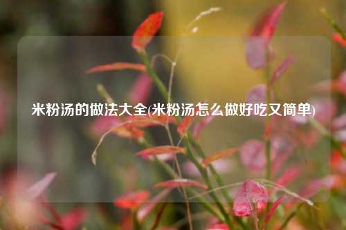 米粉汤的做法大全(米粉汤怎么做好吃又简单)