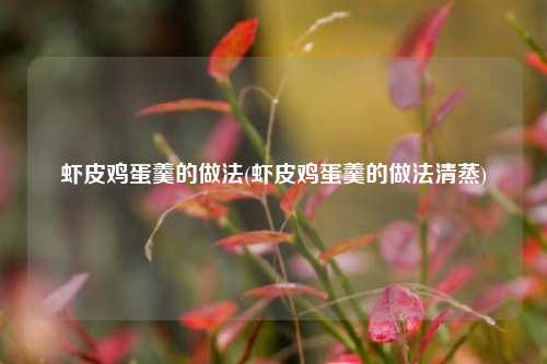 虾皮鸡蛋羹的做法(虾皮鸡蛋羹的做法清蒸)