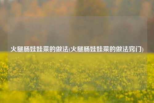 火腿肠娃娃菜的做法(火腿肠娃娃菜的做法窍门)