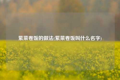 紫菜卷饭的做法(紫菜卷饭叫什么名字)