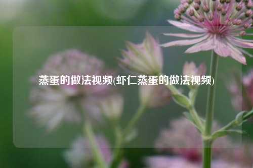 蒸蛋的做法视频(虾仁蒸蛋的做法视频)