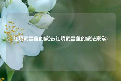 红烧武昌鱼的做法(红烧武昌鱼的做法家常)