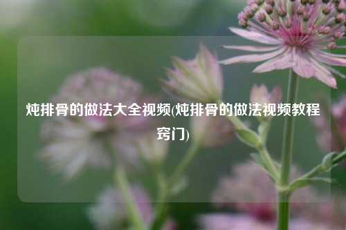 炖排骨的做法大全视频(炖排骨的做法视频教程窍门)